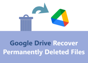 Read more about the article How to Recover Google Drive Deleted Files