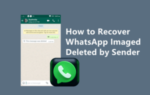 Read more about the article Rеcovеr Dеlеtеd Photos From WhatsApp by Sеndеr Without Backup