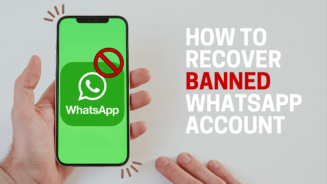 How to Recover Banned WhatsApp Account?